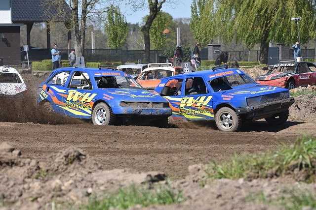 与阿拉维斯 与阿拉维斯