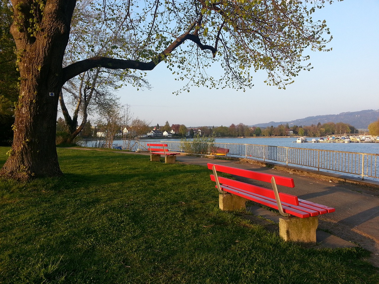 赛中不断提 赛中不断提