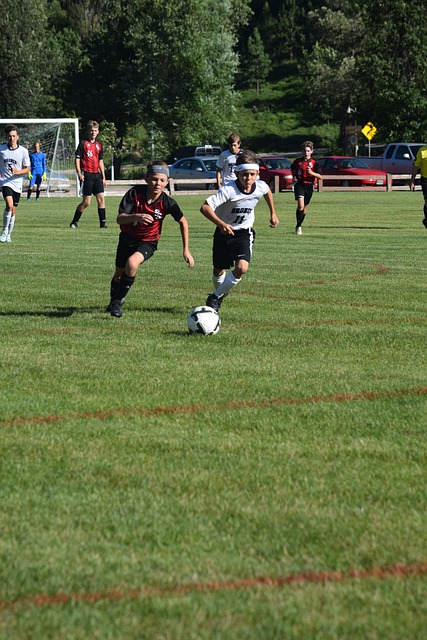 再加上安菲 再加上安菲