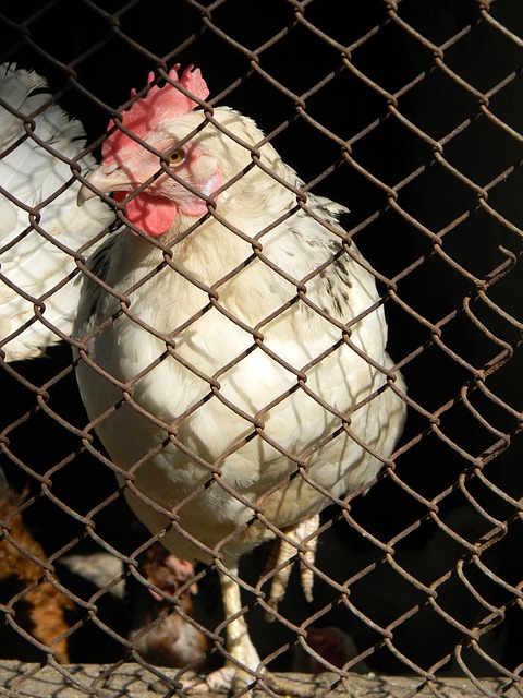 到4月初才 到4月初才